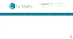 Desktop Screenshot of fetogine.com